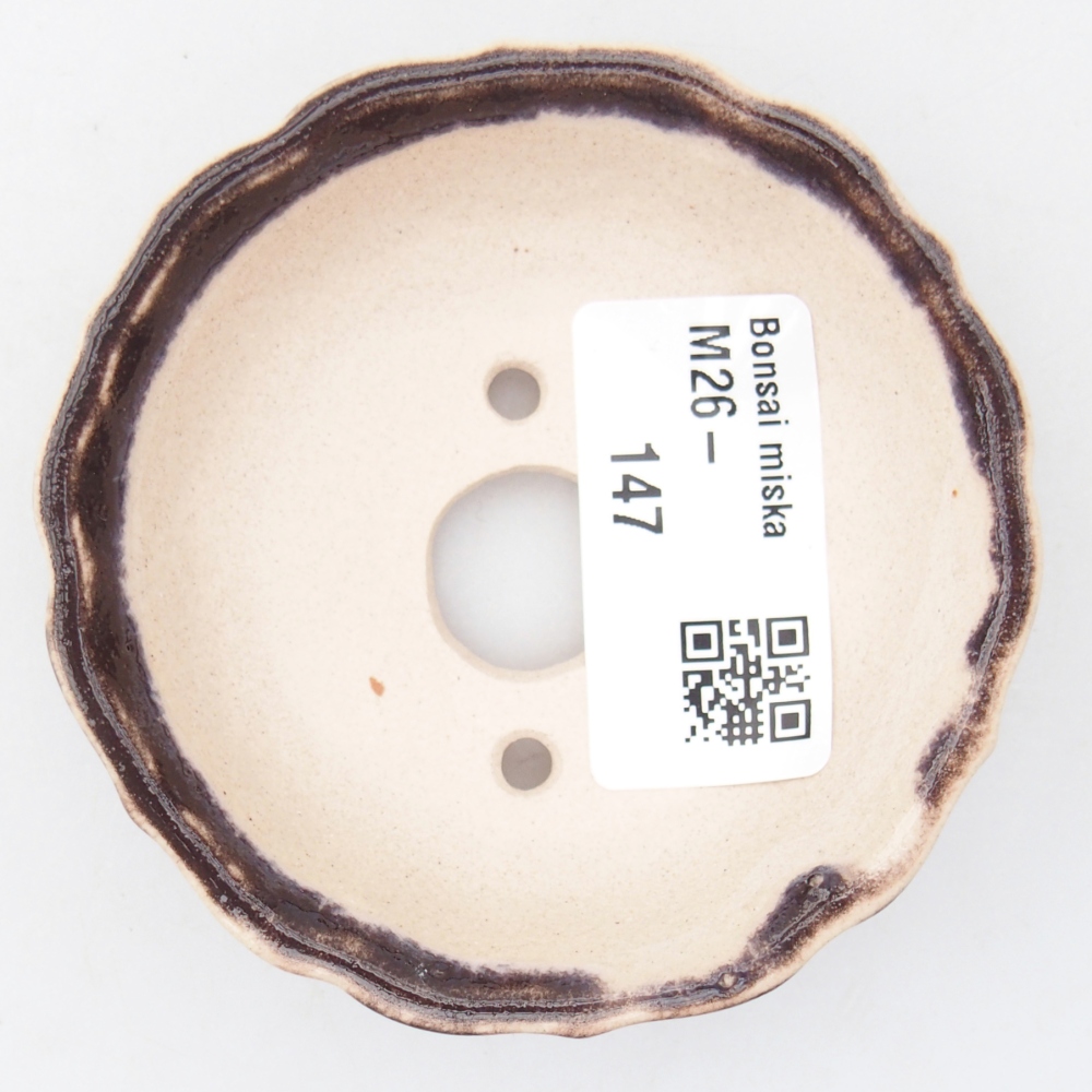 Mini bonsai 7,5 x 7,5 x 2 cm, marrone