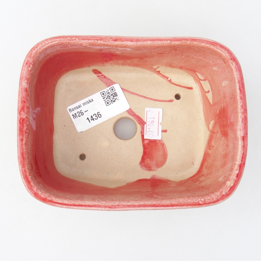 Ciotola per bonsai in ceramica 13,5 x 10,5 x 6 cm, colore rosso