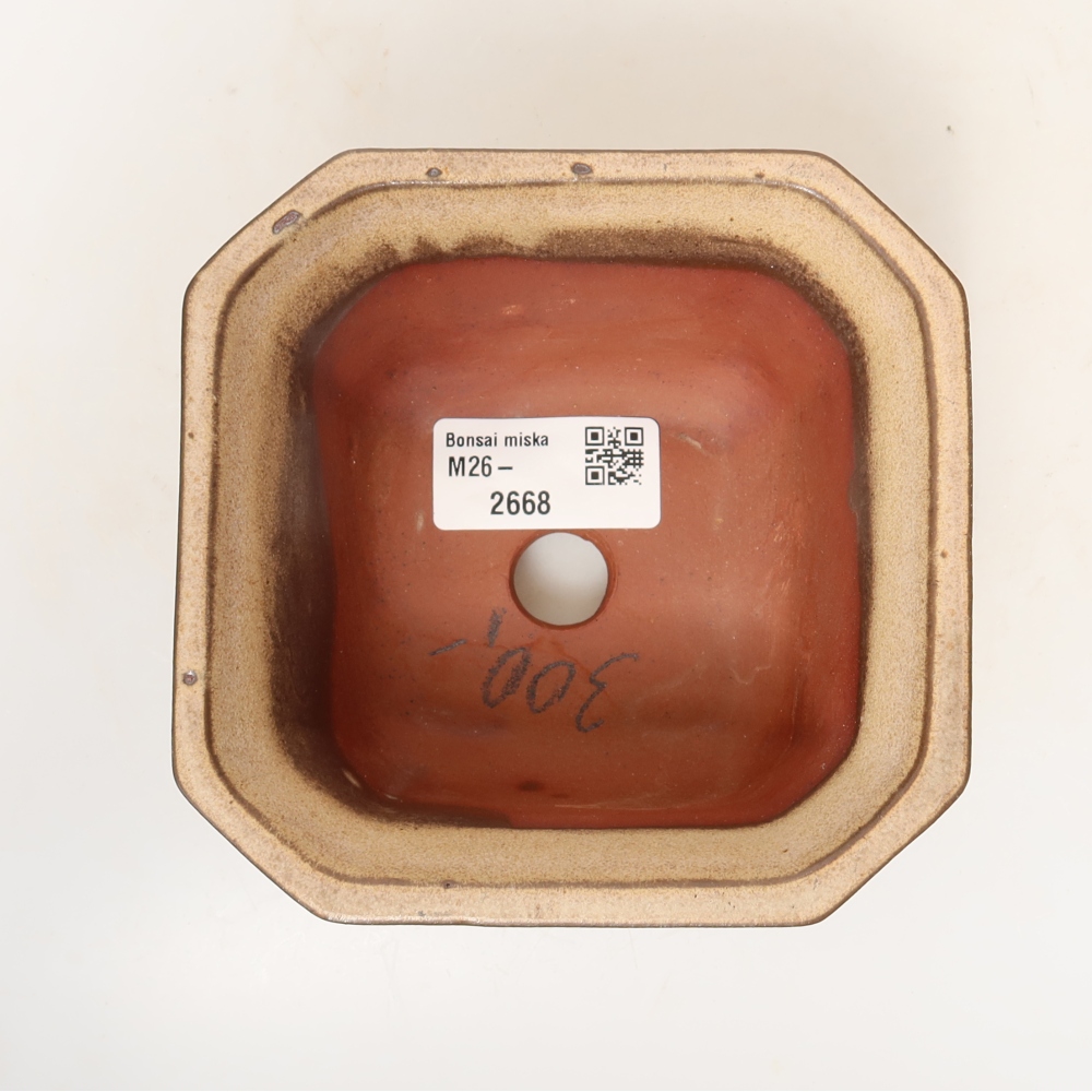Guscio in ceramica  11,5 x 11,5 x 7 cm, colore beige