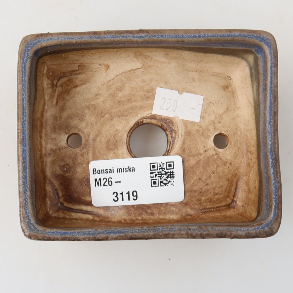 Vaso da bonsai in ceramica 10 x 8 x 4 cm, colore blu