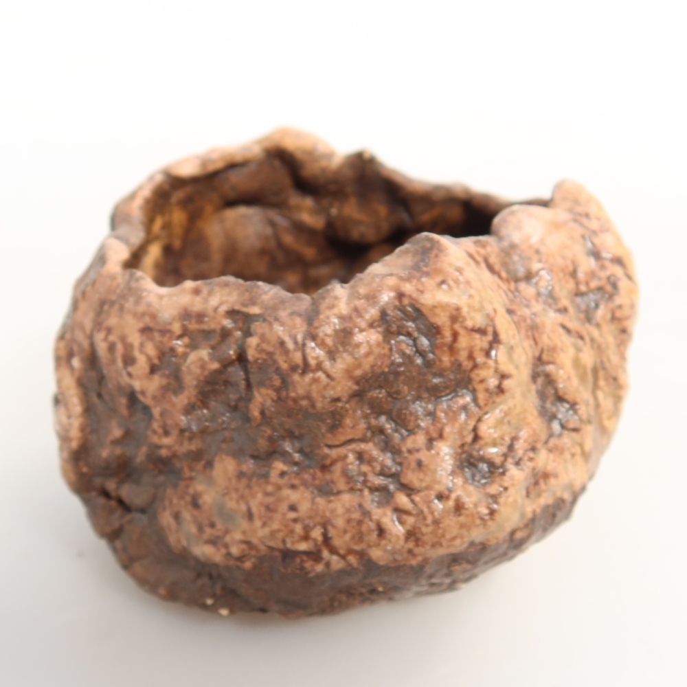Guscio in ceramica  7 x 6 x 5 cm, colore marrone