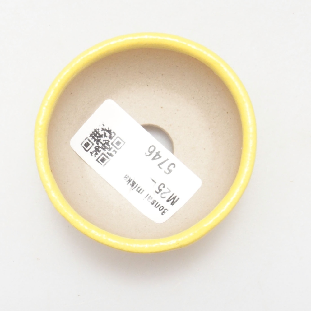 Ciotola per bonsai in ceramica 6 x 6 x 2,5 cm, giallo