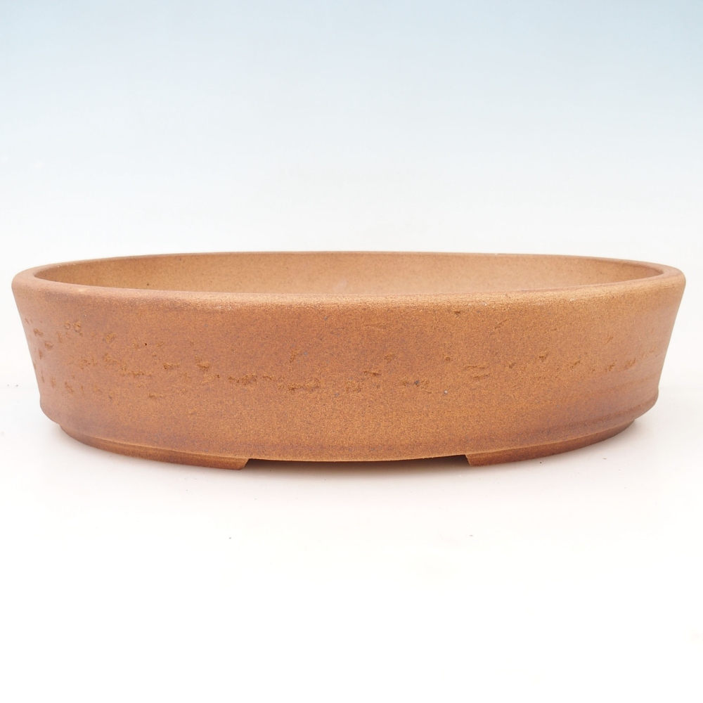 Ciotola bonsai 38 x 31 x 8,5 cm , colore marrone