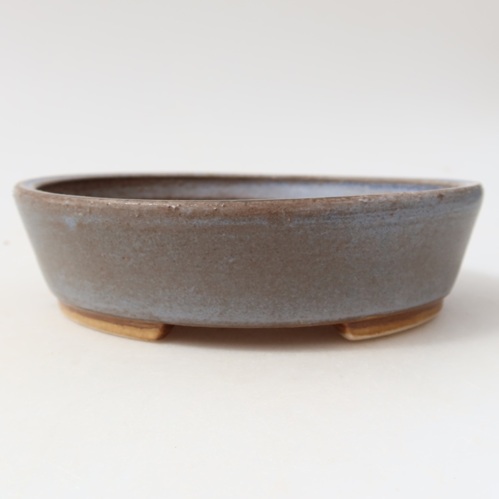 Vaso da bonsai in ceramica 15 x 14 x 4 cm, colore blu