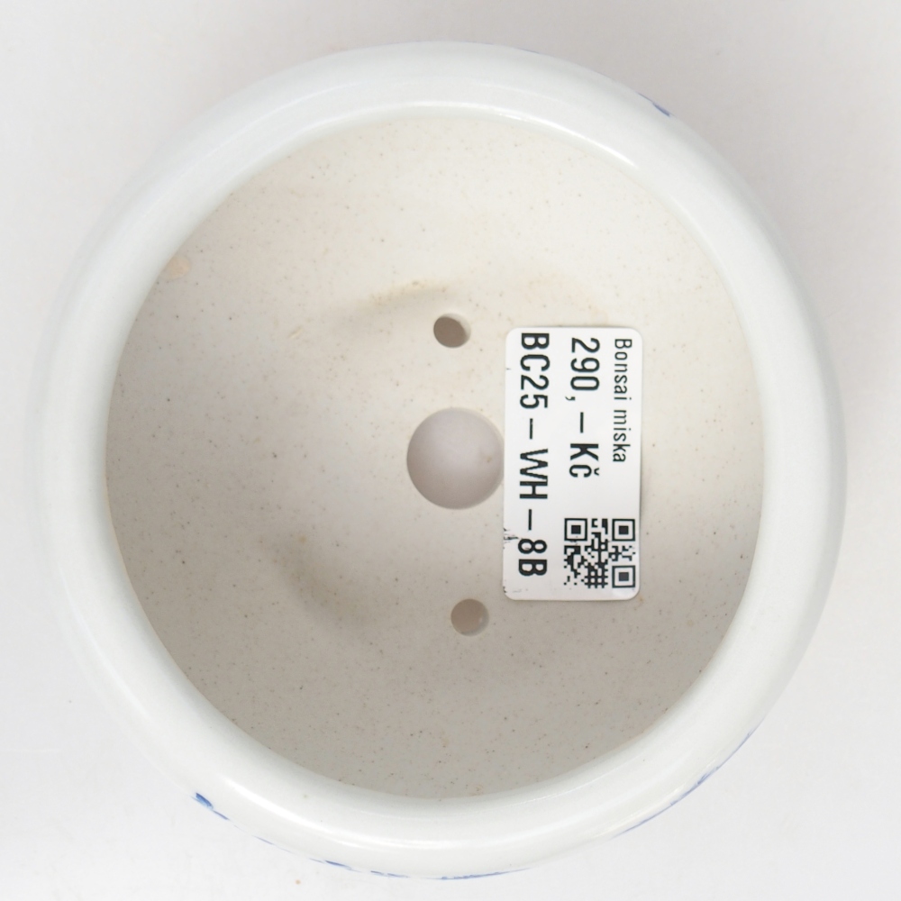 Ciotola per bonsai in ceramica 10 x 10 x 5 cm, colore bianco