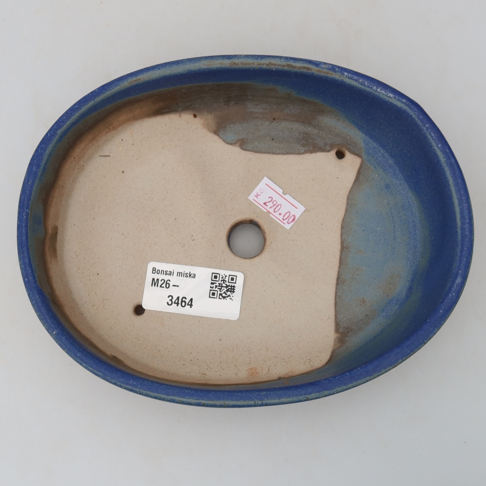 Vaso da bonsai in ceramica 17 x 14 x 4 cm, colore blu