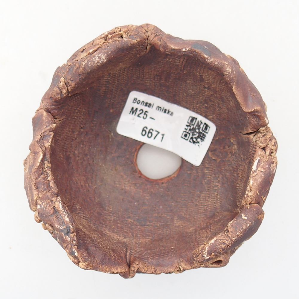 Conchiglia in ceramica 9 x 8,5 x 6,5 cm , colore marrone