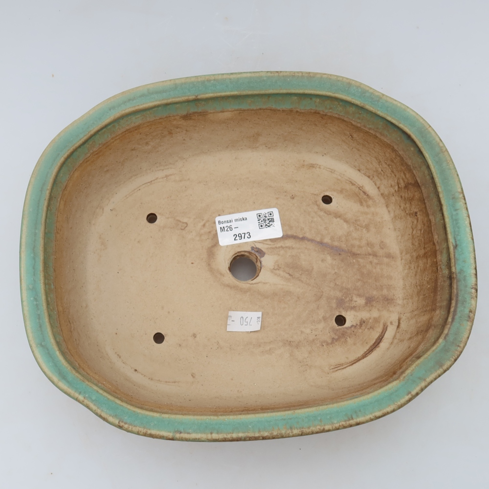 Ciotola per bonsai in ceramica 25 x 21 x 8 cm, verde