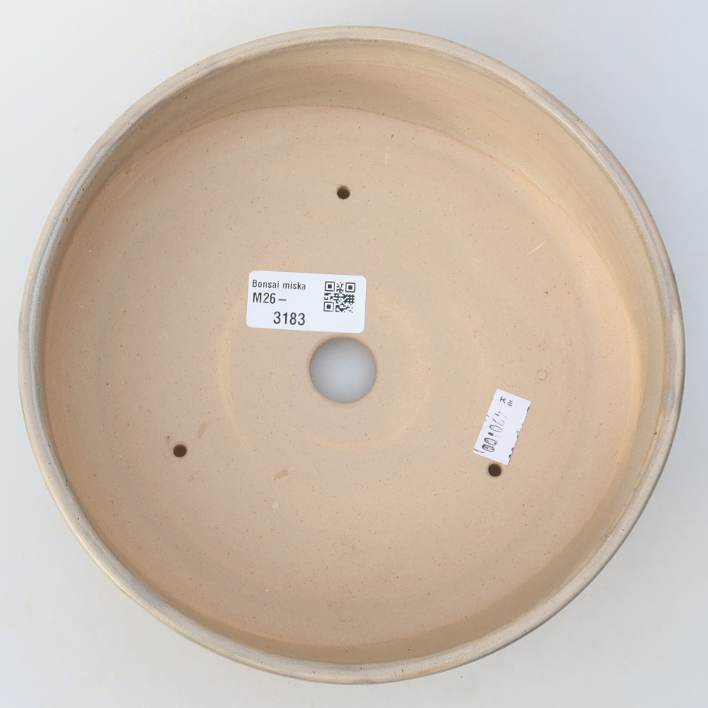 Ciotola per bonsai in ceramica 20 x 20 x 5,5 cm, colore beige