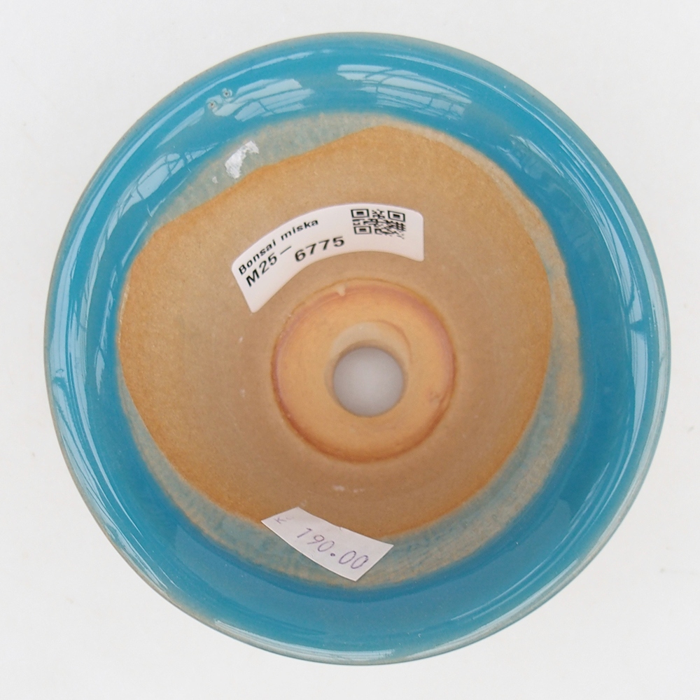 Ciotola bonsai in ceramica 10,5 x 10,5 x 7 cm, colore blu