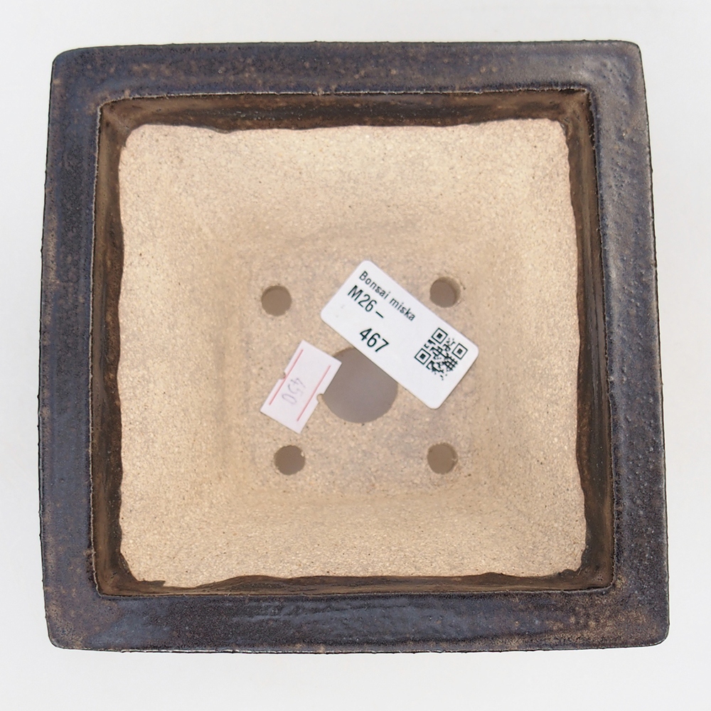 Ciotola bonsai in ceramica 13 x 13 x 8 cm, marrone