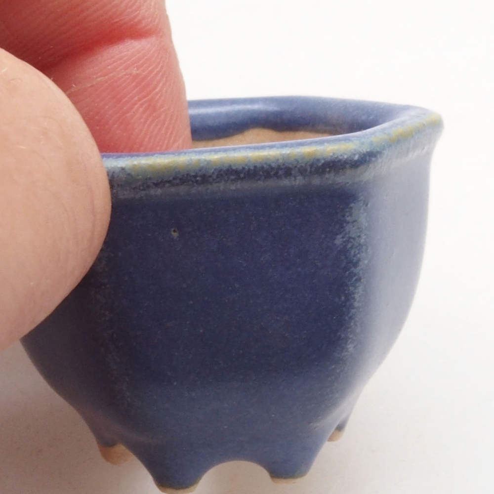 Mini bonsai 4 x 3,5 x 3 cm, colore blu