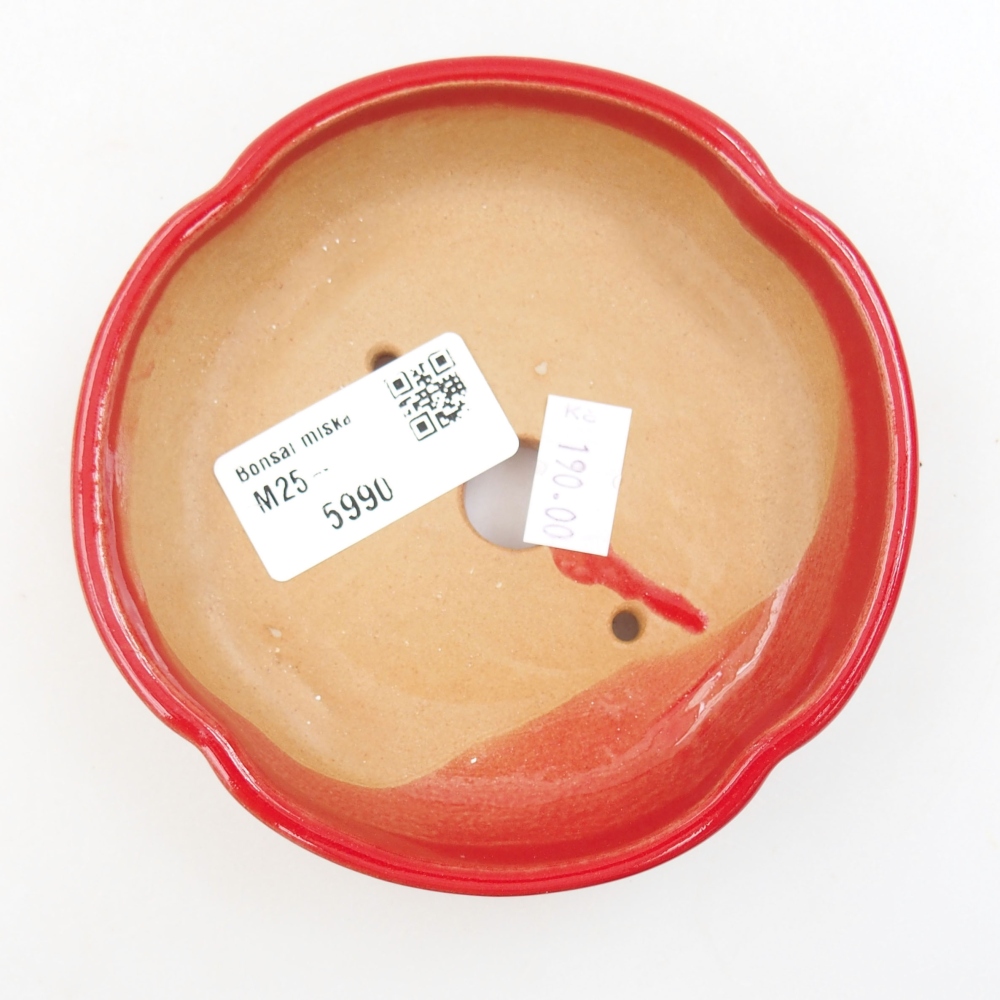 Ciotola bonsai in ceramica 22 x 17 x 5 cm, verde