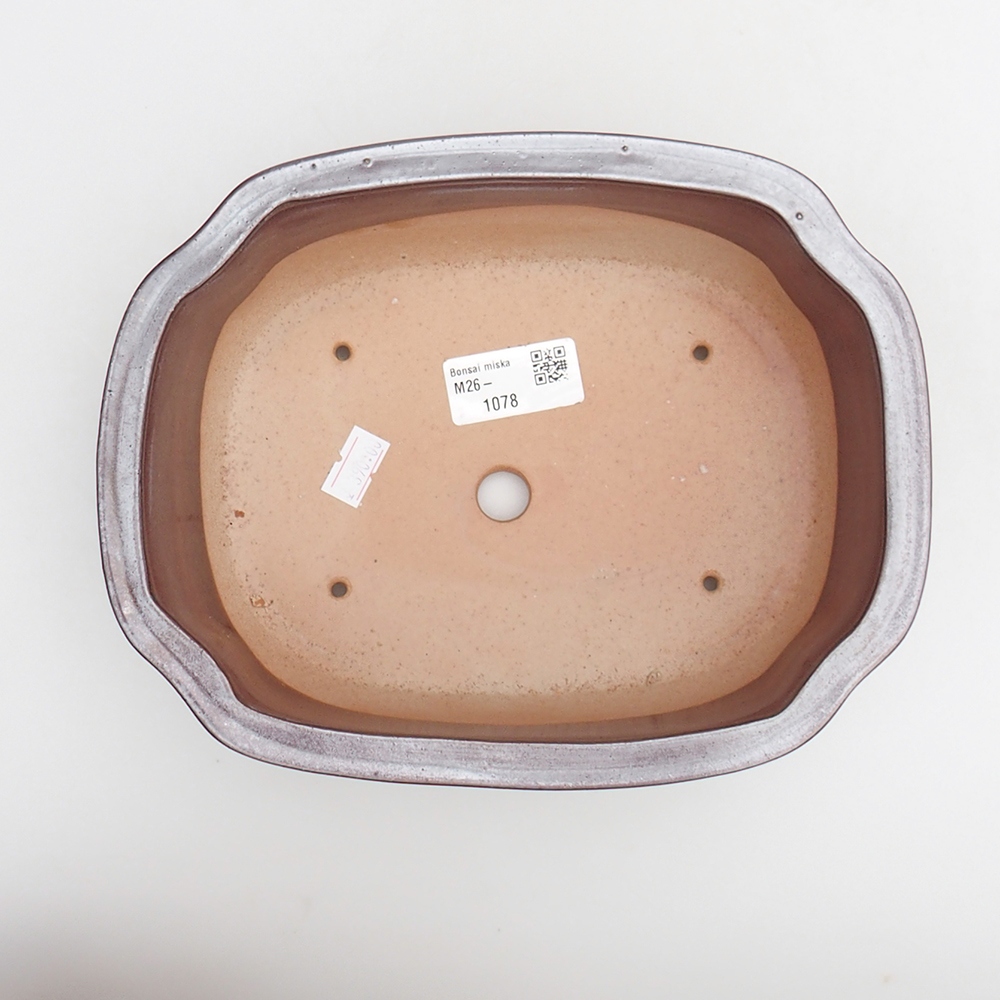 Ciotola per bonsai in ceramica 22 x 16,5 x 7 cm, marrone