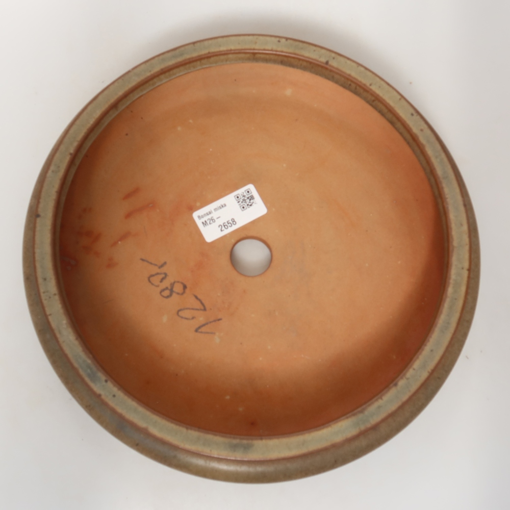Conchiglia in ceramica 23 x 23 x 7 cm , colore marrone