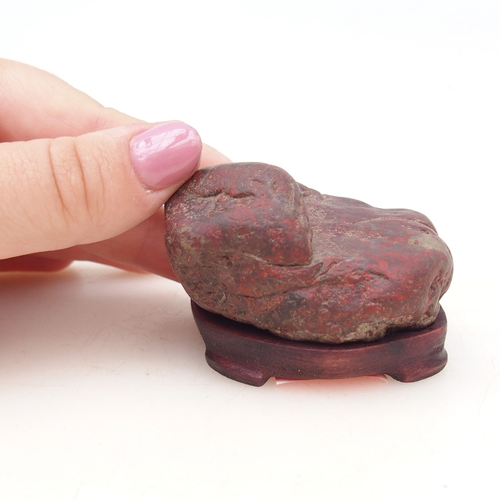 Suiseki - Pietra con DAI (base in legno)