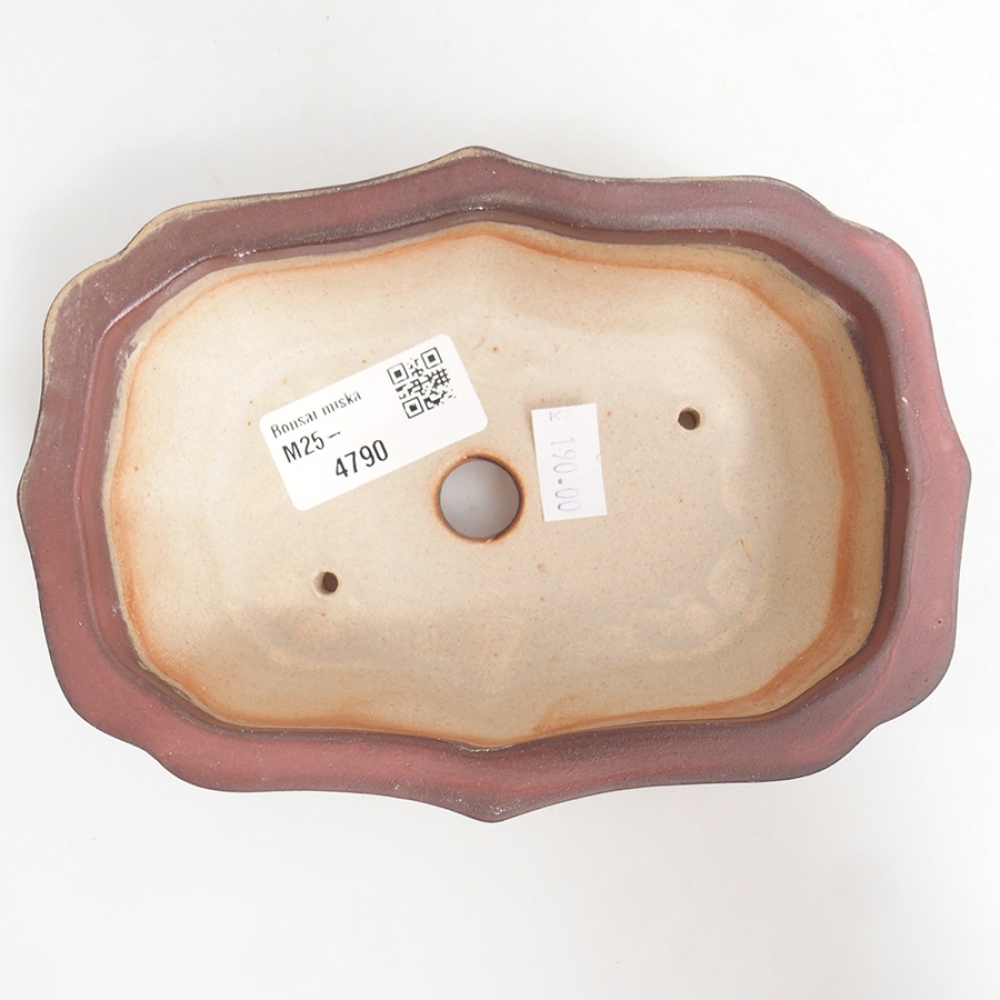 Ciotola bonsai in ceramica 15,5 x 11,5 x 4,5 cm, rosa