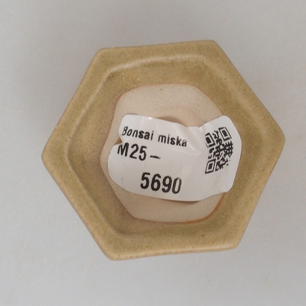 Mini bonsai 4,5 x 4,5 x 2,5 cm, marrone