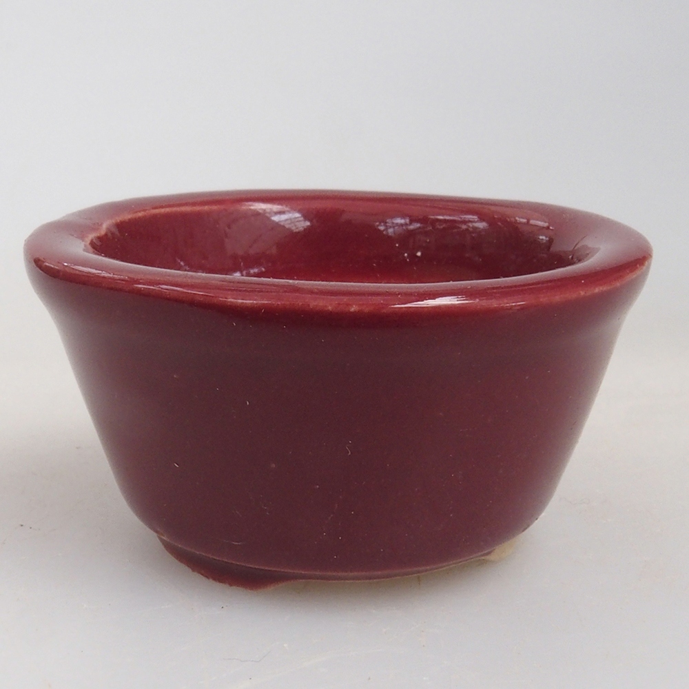 Ciotola per mini bonsai 4 x 4 x 2 cm, bordeaux