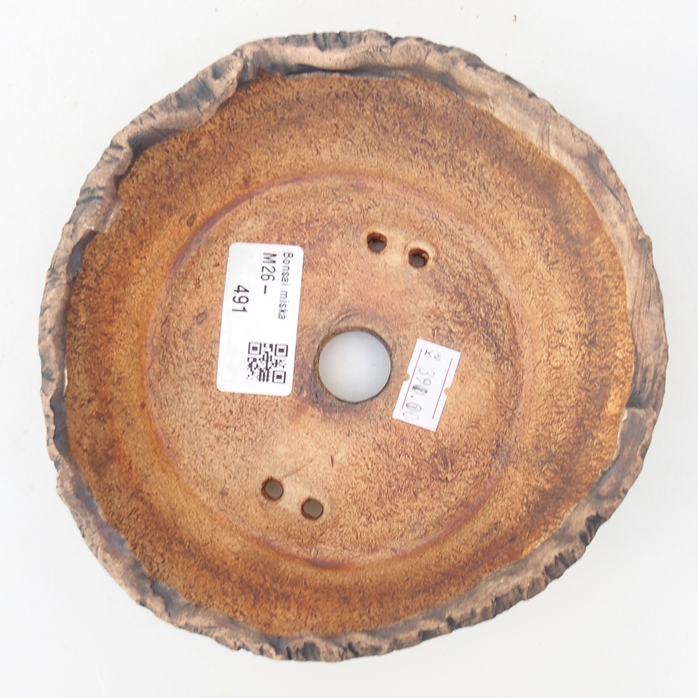 Ciotola bonsai in ceramica 14 x 14 x 5 cm, verde