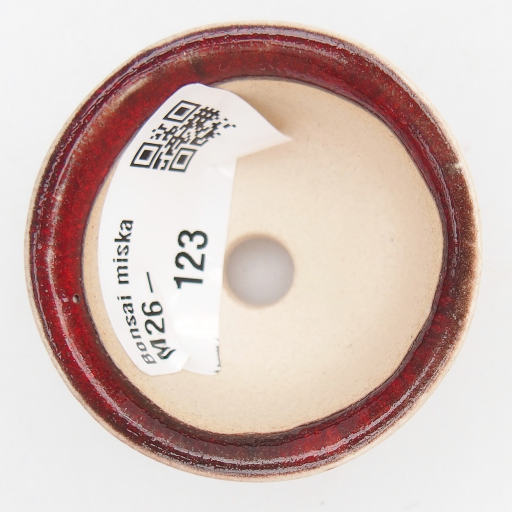 Mini bonsai 5 x 5 x 3 cm, colore rosso