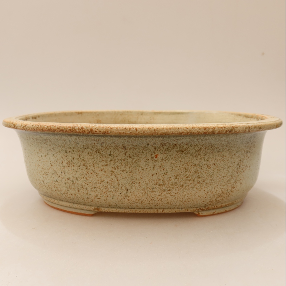 Vaso da bonsai in ceramica 23 x 19 x 8 cm, colore beige