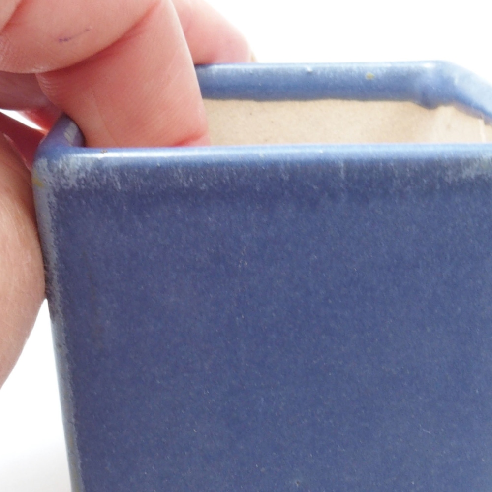 Mini bonsai 5,5 x 5,5 x 6,5 cm, colore blu