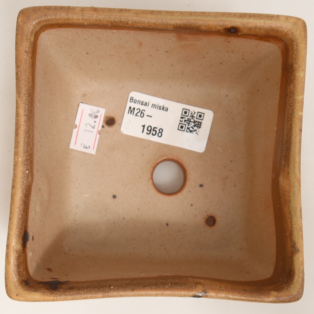 Vaso da bonsai in ceramica 10,5 x 10,5 x 6,5 cm, colore beige