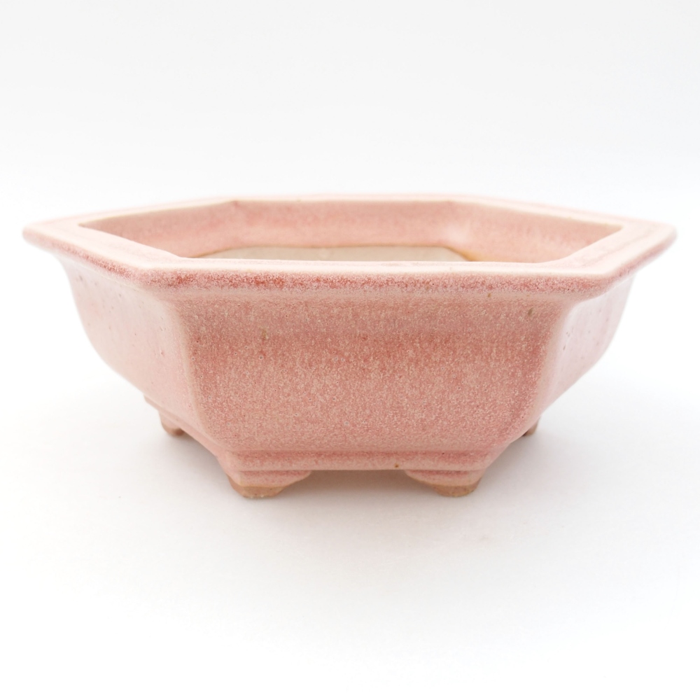 Ciotola bonsai in ceramica 22 x 17 x 5 cm, verde