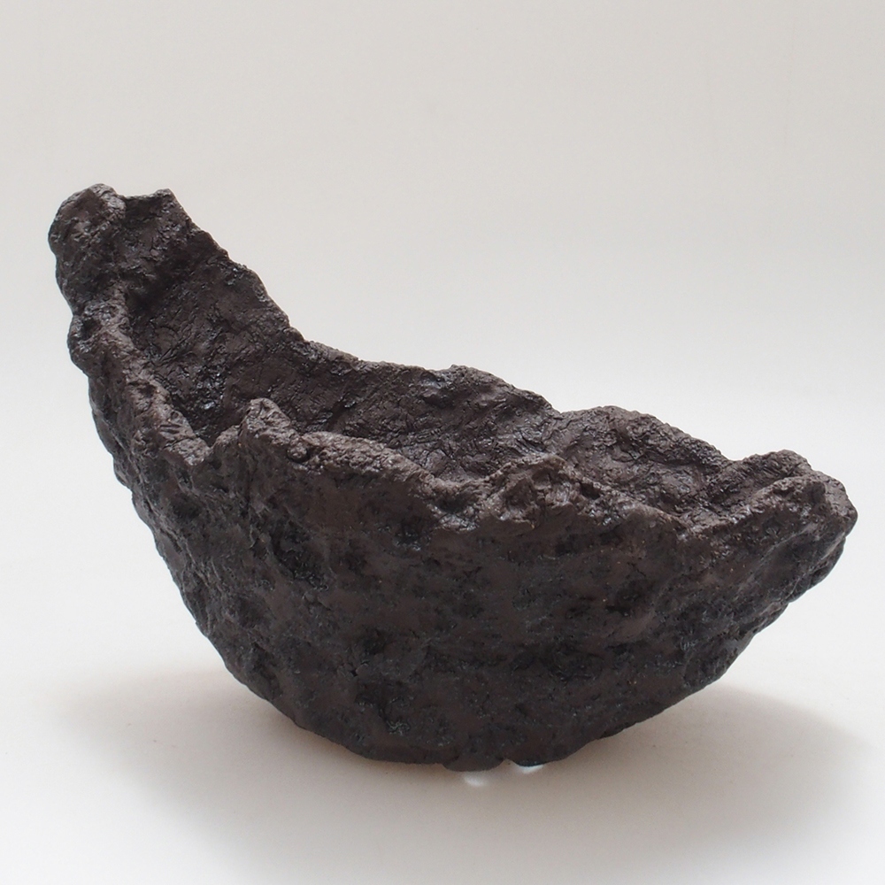 Conchiglia in ceramica 18 x 14 x 14 cm , colore marrone