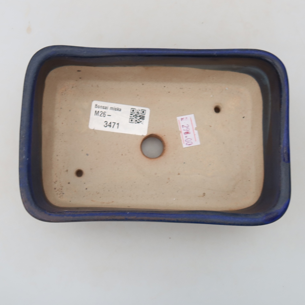 Vaso in ceramica per bonsai 16 x 10,5 x 5,5 cm, colore blu