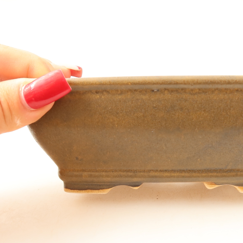 Vaso per bonsai in ceramica 15 x 12,5 x 5,5 cm, colore marrone