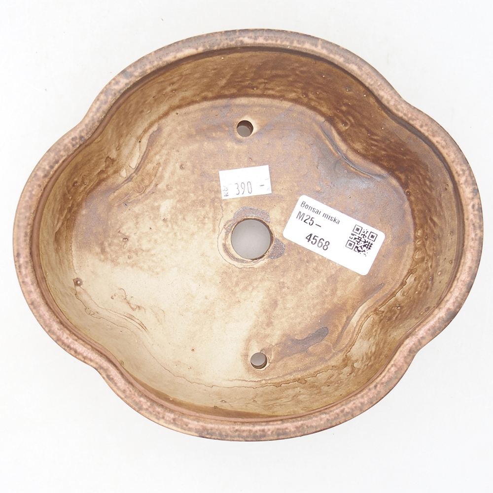 Ciotola bonsai in ceramica 17 x 15,5 x 5,5 cm, rosa