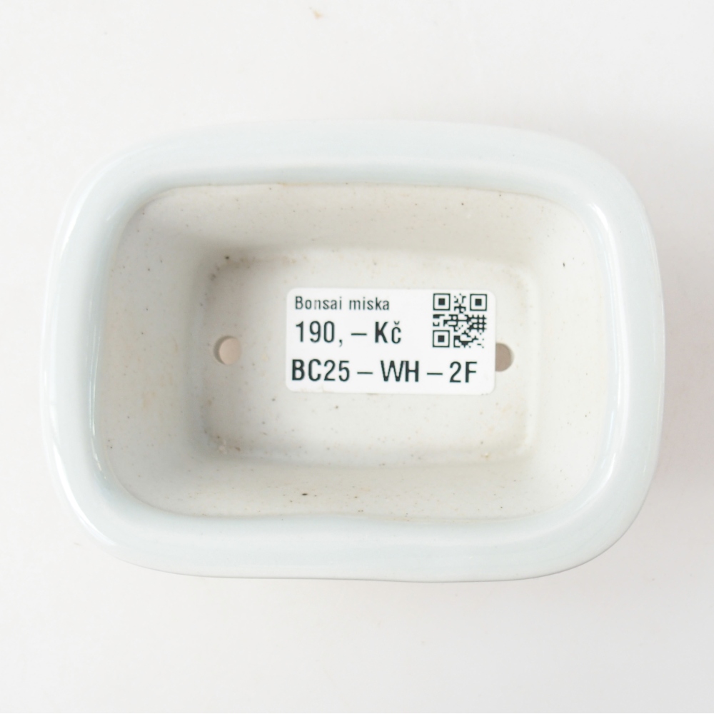 Mini bonsai 10 x 7,5 x 4 cm, colore bianco