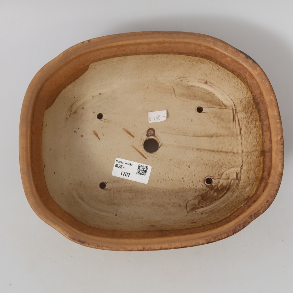 Vaso da bonsai in ceramica 25 x 21,5 x 7,5 cm, colore rosa