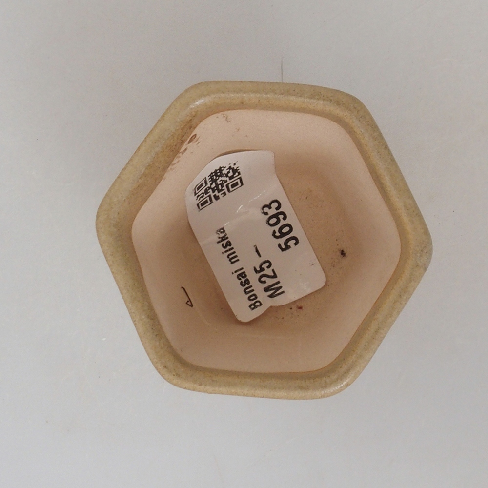 Ciotola per mini bonsai 5 x 5 x 5 cm, marrone