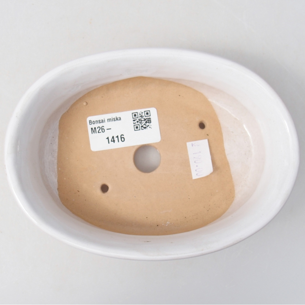 Ciotola per bonsai in ceramica 14,5 x 10,5 x 3,5 cm, colore bianco