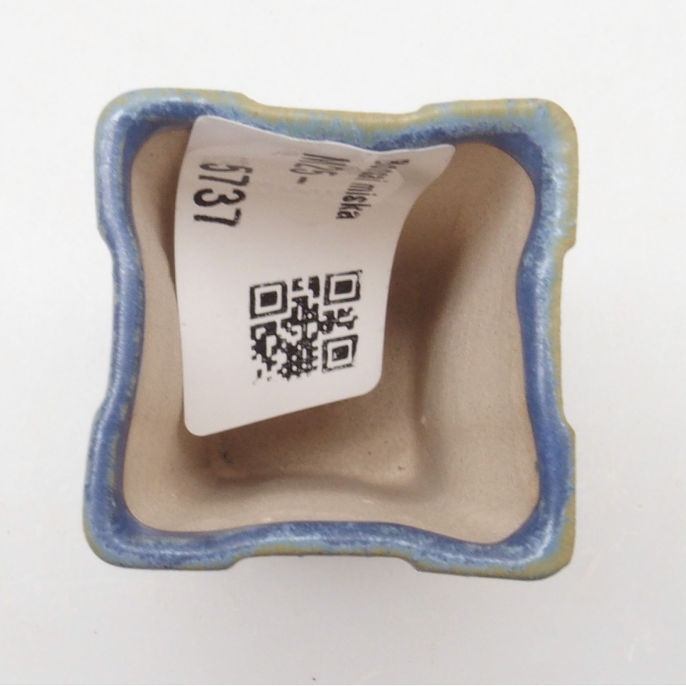 Mini bonsai 3 x 3 x 5,5 cm, colore blu