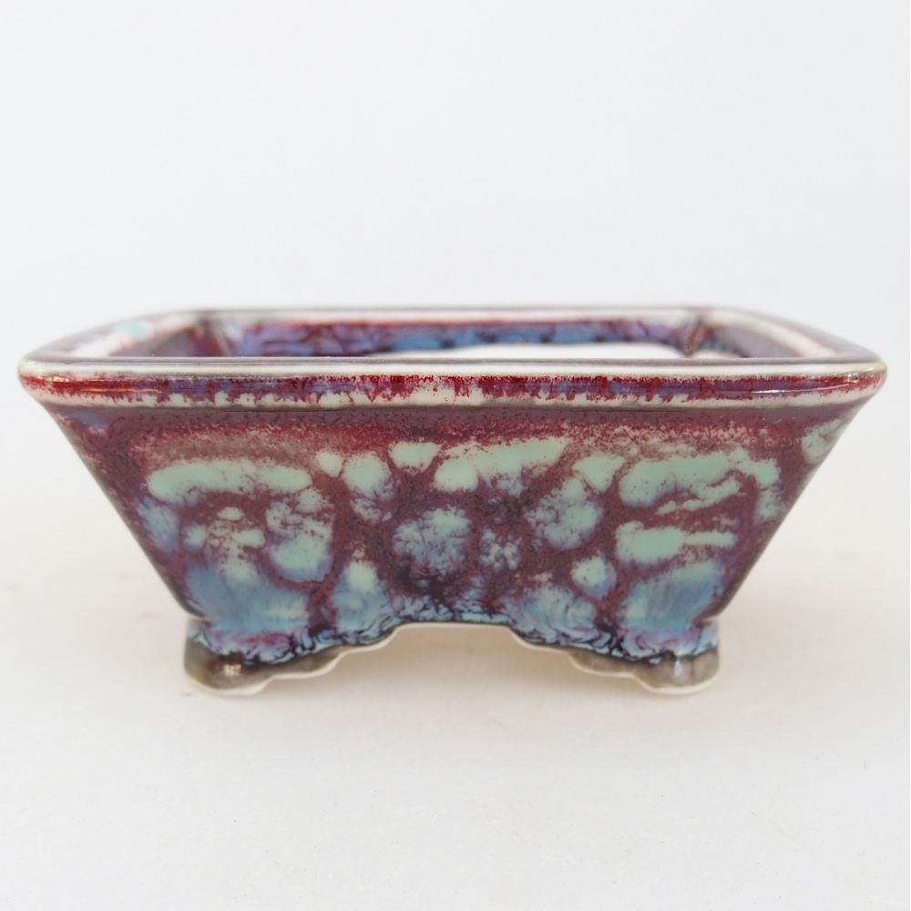 Mini bonsai 8,5 x 7,5 x 4 cm, bordeaux