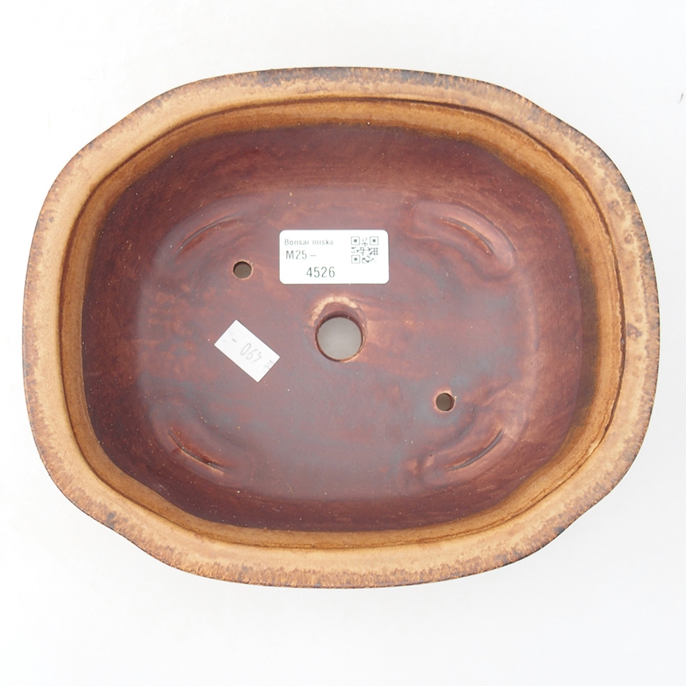 Ciotola bonsai in ceramica 20 x 16,5 x 6,5 cm, rosa