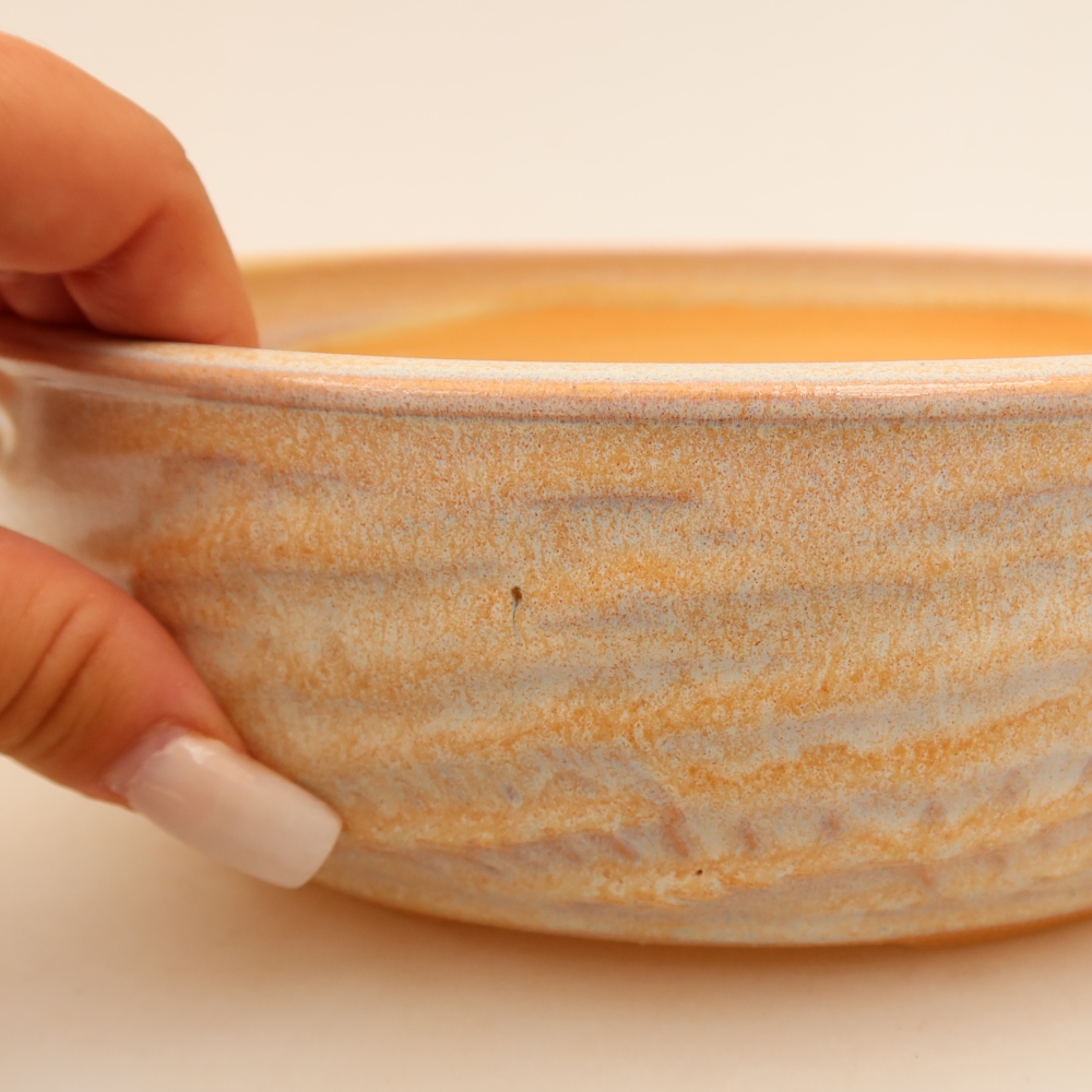 Vaso da bonsai in ceramica 22 x 22 x 7 cm, colore beige