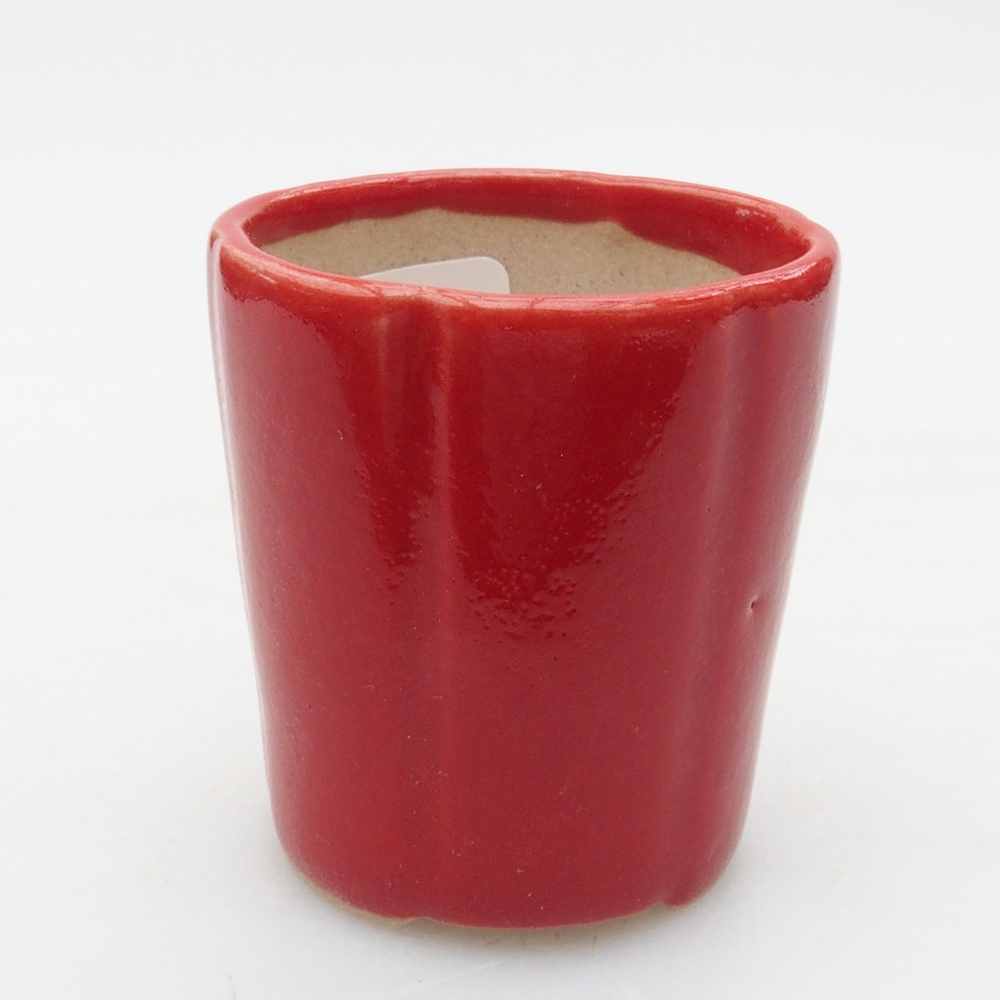 Mini bonsai 4 x 4 x 4 cm, colore rosso