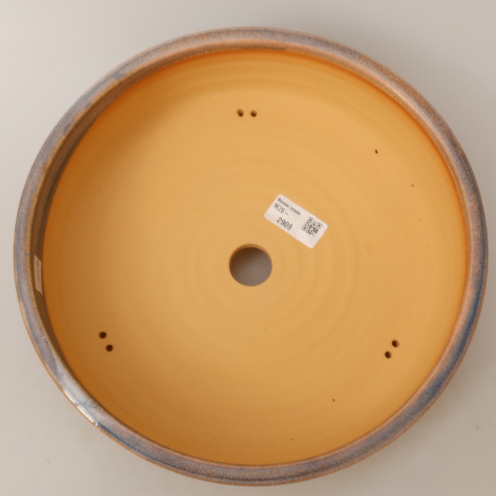 Vaso in ceramica per bonsai 28 x 28 x 8 cm, colore blu