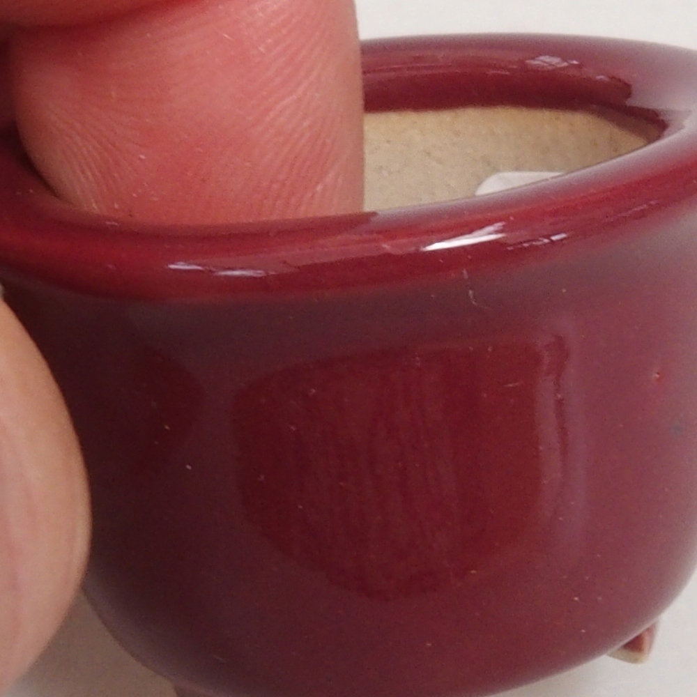 Ciotola per mini bonsai 3,5 x 3,5 x 2,5 cm, bordeaux