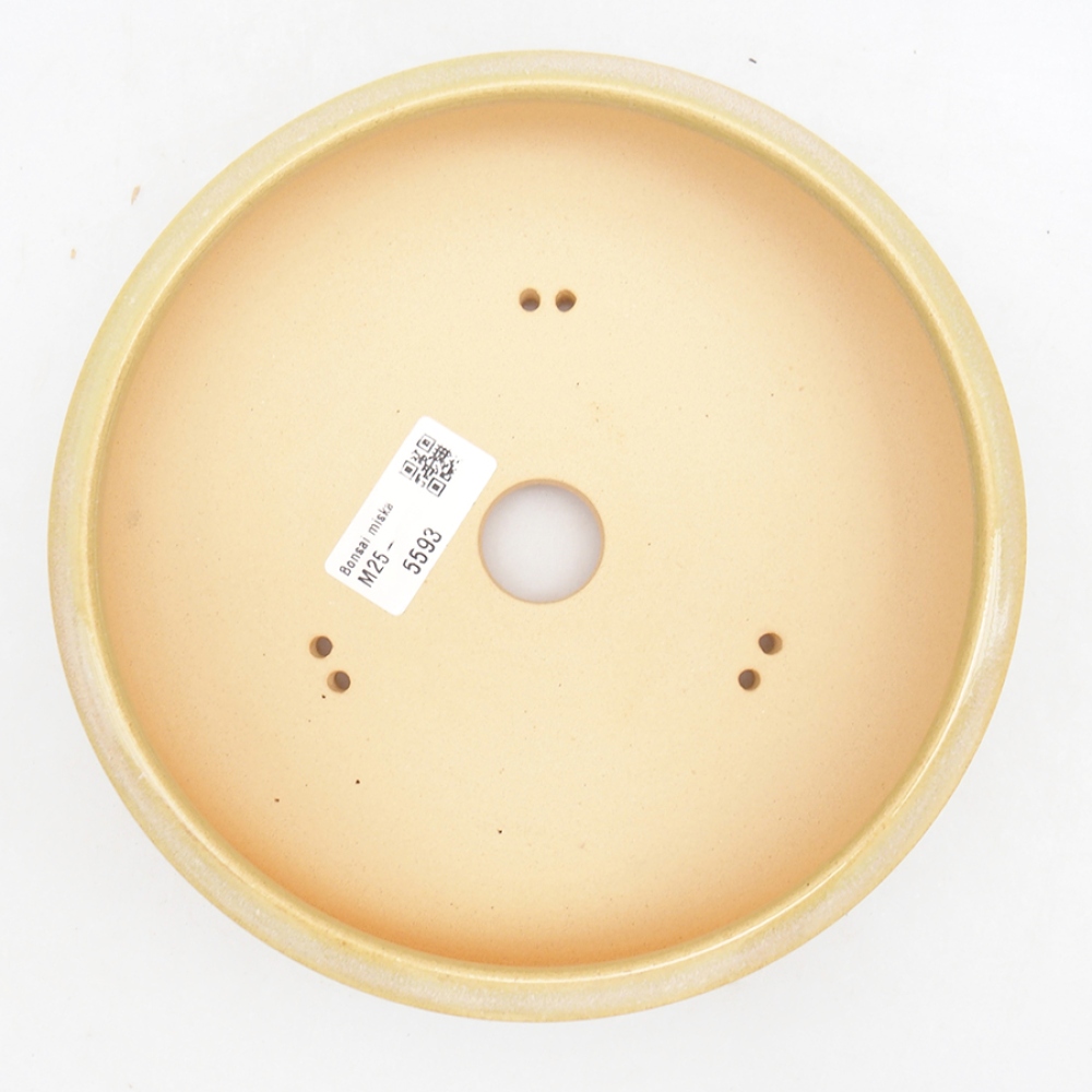 Ciotola bonsai in ceramica 18,5 x 18,5 x 5,5 cm, verde