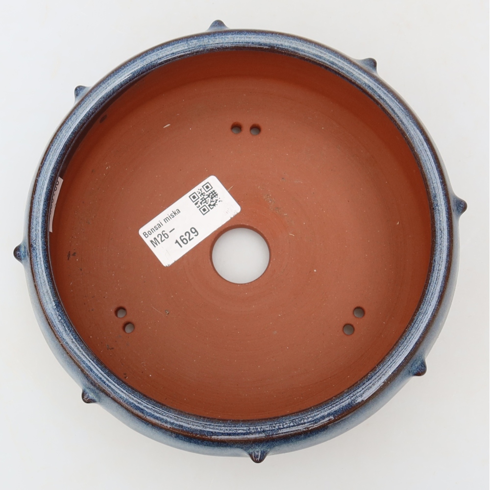 Ciotola per bonsai in ceramica 15,5 x 15,5 x 6,5 cm, colore blu