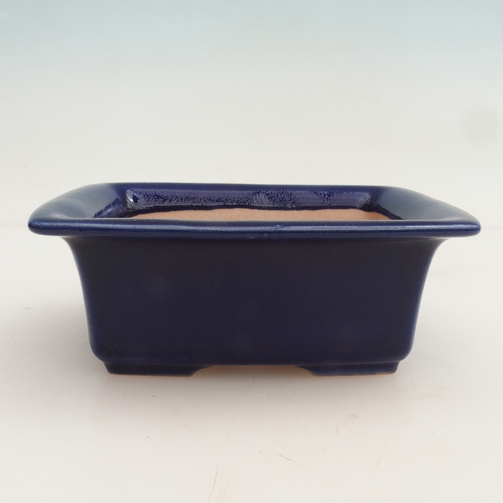 Ciotola per bonsai H11 - 11,5 x 10 x 4 cm - blu