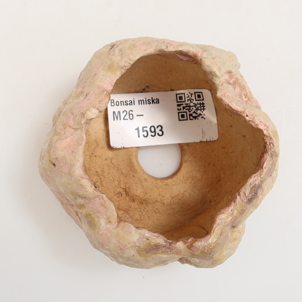 Guscio in ceramica  5,5 x 5,5 x 5,5 cm, colore rosa