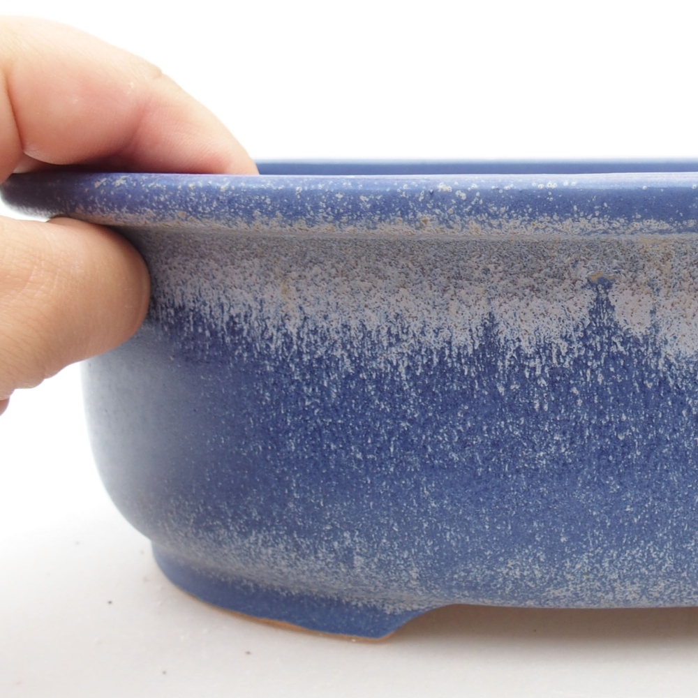 Ciotola bonsai in ceramica 23 x 19,5 x 7 cm, colore blu