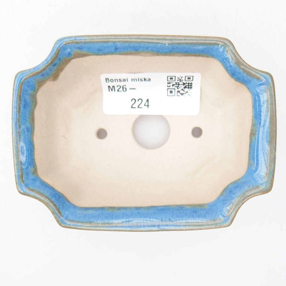 Mini bonsai 9 x 6,5 x 3,5 cm, colore blu